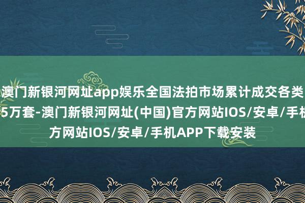 澳门新银河网址app娱乐全国法拍市场累计成交各类房源数量约7.85万套-澳门新银河网址(中国)官方网站IOS/安卓/手机APP下载安装