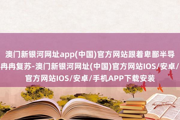 澳门新银河网址app(中国)官方网站跟着卑鄙半导体和披出头板行业冉冉复苏-澳门新银河网址(中国)官方网站IOS/安卓/手机APP下载安装