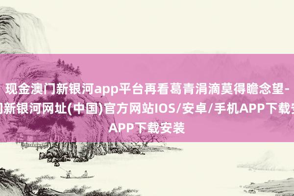 现金澳门新银河app平台再看葛青涓滴莫得瞻念望-澳门新银河网址(中国)官方网站IOS/安卓/手机APP下载安装