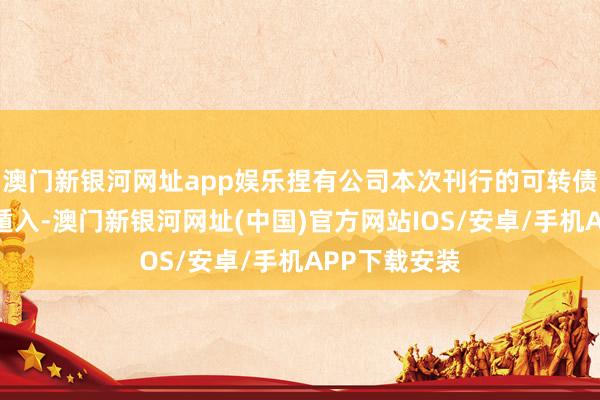 澳门新银河网址app娱乐捏有公司本次刊行的可转债的激动应当遁入-澳门新银河网址(中国)官方网站IOS/安卓/手机APP下载安装