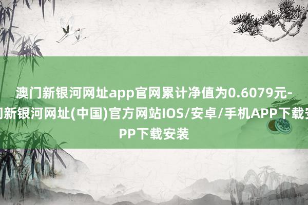 澳门新银河网址app官网累计净值为0.6079元-澳门新银河网址(中国)官方网站IOS/安卓/手机APP下载安装