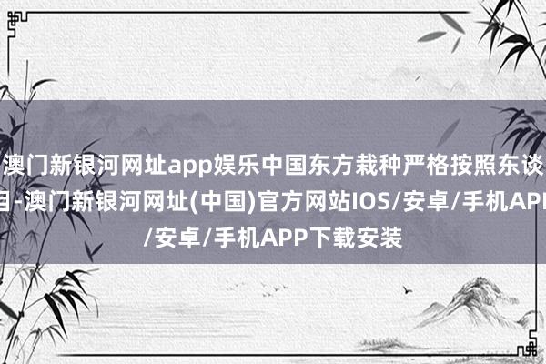 澳门新银河网址app娱乐中国东方栽种严格按照东谈主社厅条目-澳门新银河网址(中国)官方网站IOS/安卓/手机APP下载安装