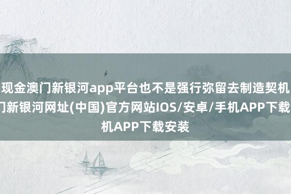 现金澳门新银河app平台也不是强行弥留去制造契机-澳门新银河网址(中国)官方网站IOS/安卓/手机APP下载安装