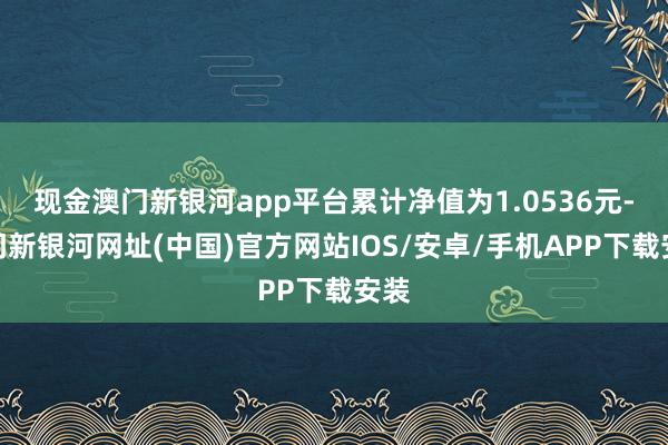 现金澳门新银河app平台累计净值为1.0536元-澳门新银河网址(中国)官方网站IOS/安卓/手机APP下载安装