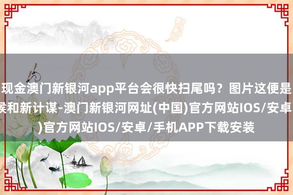 现金澳门新银河app平台会很快扫尾吗？图片这便是一个新产物、新时候和新计谋-澳门新银河网址(中国)官方网站IOS/安卓/手机APP下载安装