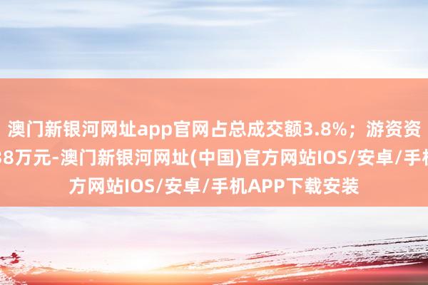 澳门新银河网址app官网占总成交额3.8%；游资资金净流入358.38万元-澳门新银河网址(中国)官方网站IOS/安卓/手机APP下载安装